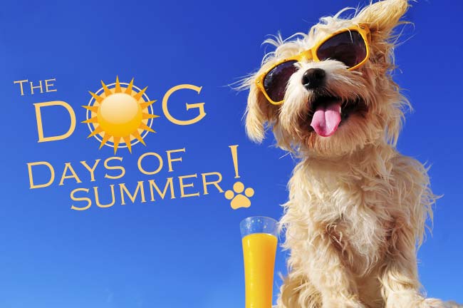 why are they called dog days of summer