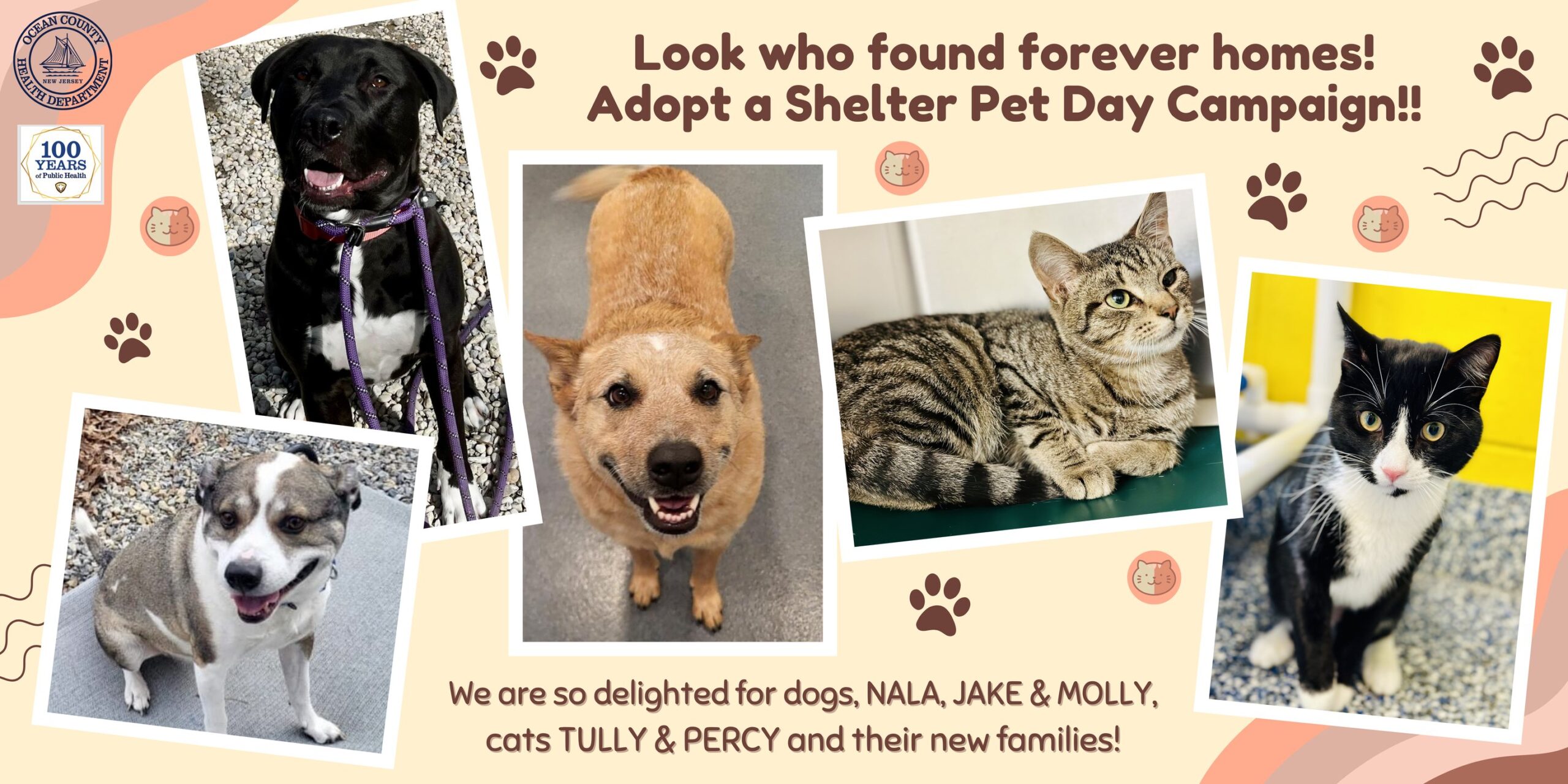Adopt a shelter pet day