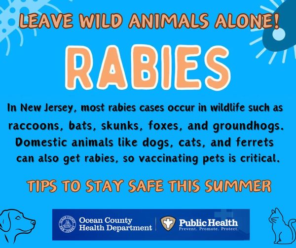 Rabies Information