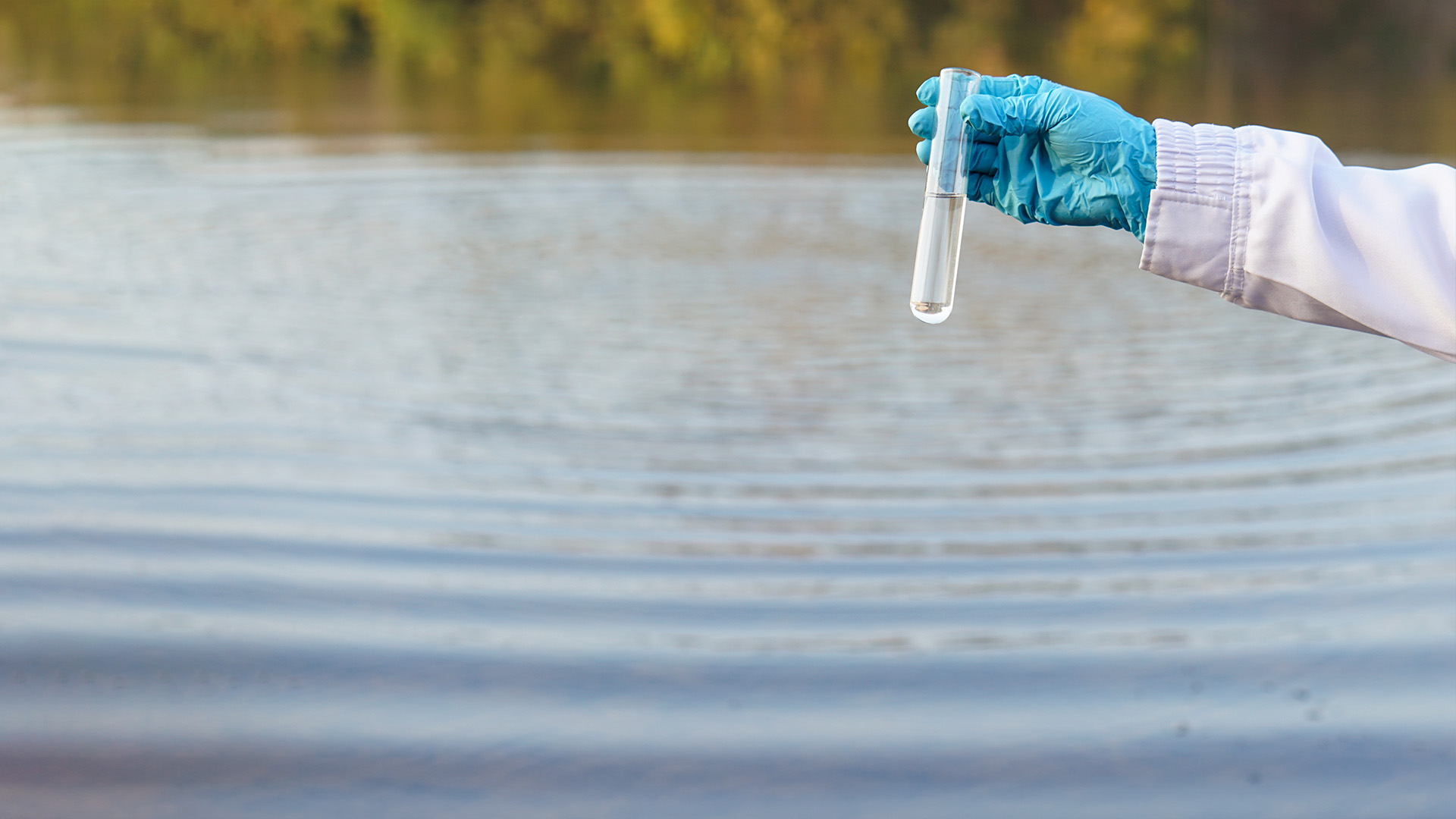 Water Reports