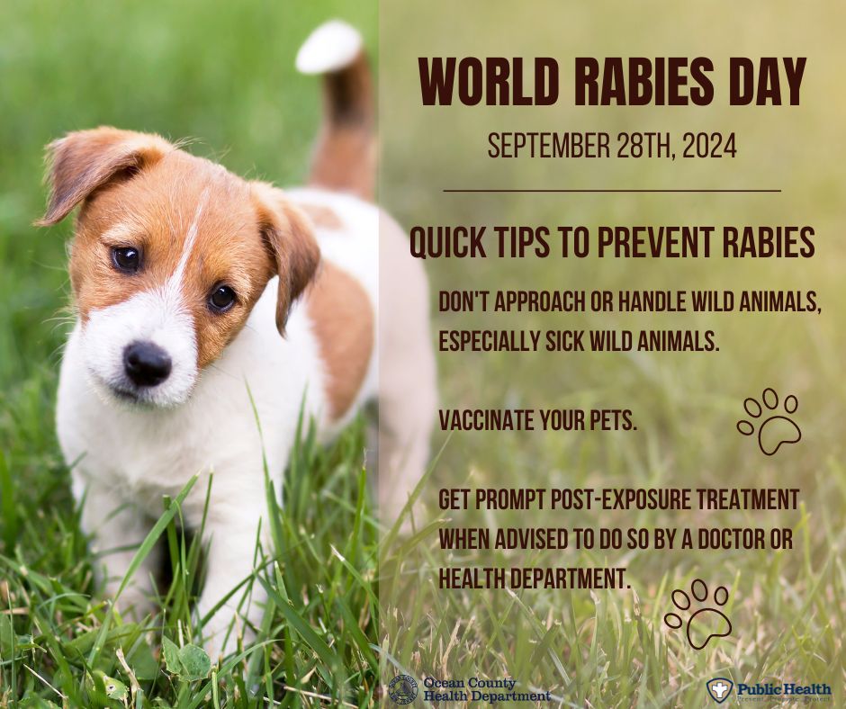 World Rabies Day is September 28, 2024 The OCHD recognizes World Rabies Day, which is celebrated annually on September 28.