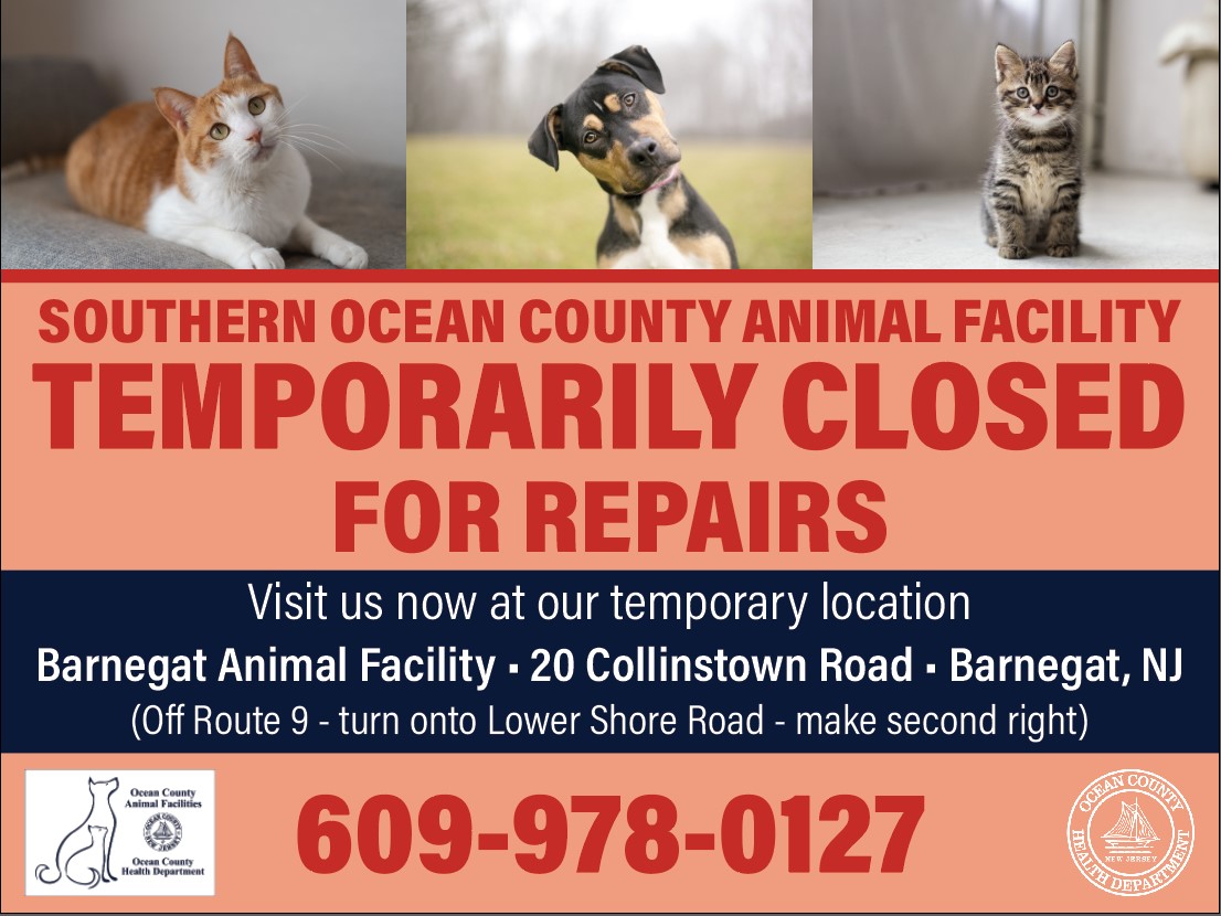 SOUTHERN OCEAN COUNTY ANIMAL FACILITY IS TEMPORARILY CLOSED FOR RENOVATIONS. Please visit us at the Barnegat Animal Facility.