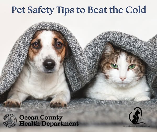 KEEPING YOUR PET SAFE IN WINTER WEATHER